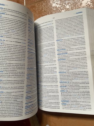 Diccionario Secundaria y Bachillerato. Lengua e...