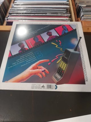 Vinilo Niña Polaca Asumiré la muerte de Mufasa
