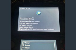 Nintendo new 3DS XL