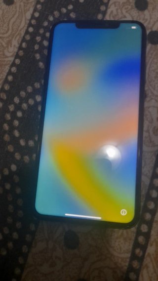 iPhone Pro Max 250 GB