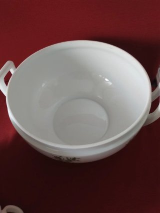 Zuppiera Richard Ginori bianca con fiori