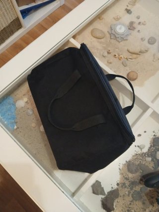 Nintendo Switch OLED e gioco Pokémon