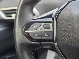 PEUGEOT 3008 1.5 BLUEHDI 130 CV IMPOLUTO AÑO 2018