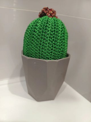 Adorno Cactus Crochet Maceta Guarda Cosas