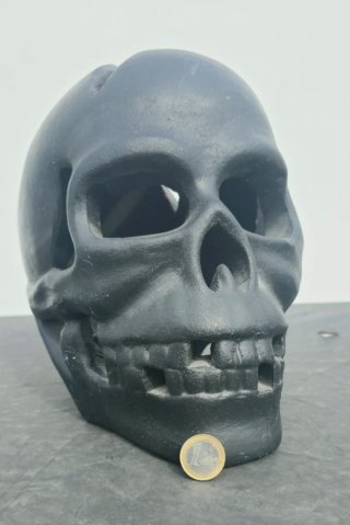 Craneo Calavera Decorativa
