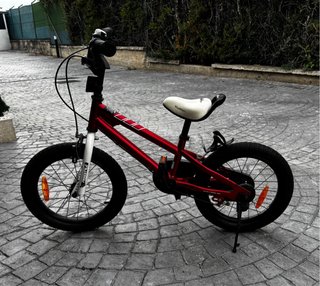 Bicicleta Infantil Royalbaby Freestyle 14