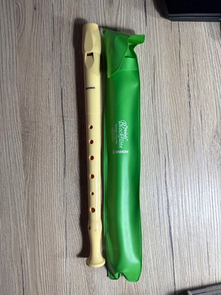 Flauta Hohner con funda verde