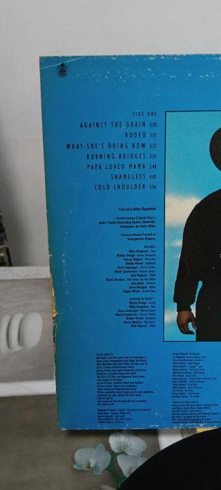 Garth Brooks Ropin The wind