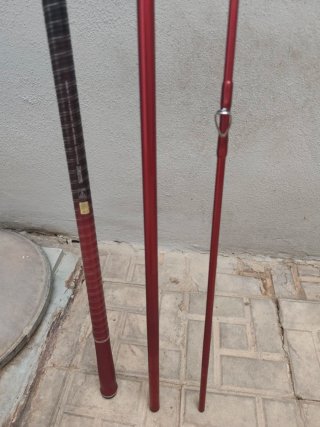 Caña Daiwa Tournament Caster 33 Tubular