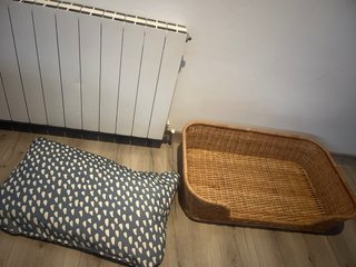 Cama para perro mimbre y cojín