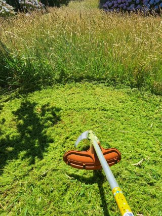 Desbrozadora Husqvarna 545 RX