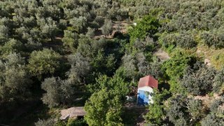 PARCELA RUSTICA EN ZONA DOÑA JUANILLA