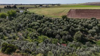 PARCELA RUSTICA EN ZONA DOÑA JUANILLA