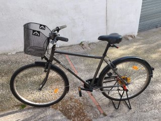 Bicicleta Paseo L