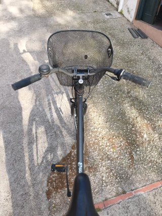 Bicicleta Paseo L