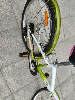 Bicicleta 24 pulgadas. verde,  blanca y mariposas