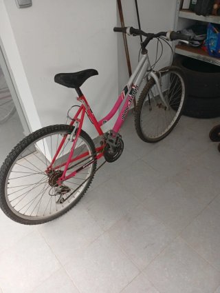 Bicicleta Globetrotter Rosa y Plata para mujer