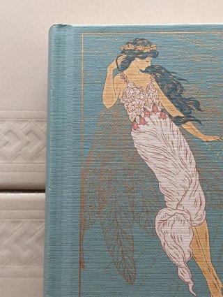 Libro Peter Pan