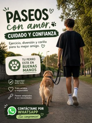 Servicio de Paseos para Perros. Por Santa Pola