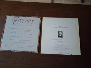 Lote 2 Vinilos Golpes Bajos
