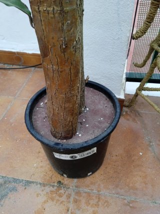 Planta artificial grande Ikea