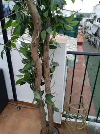 Planta artificial grande Ikea