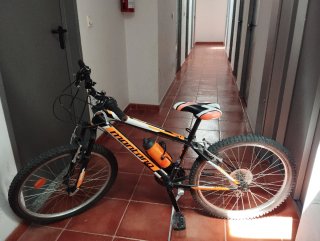 Bicicleta Montana Infantil 20 Naranja