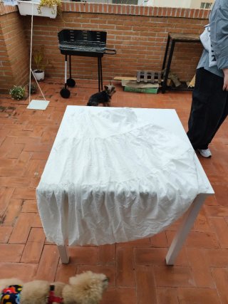 Conjunto veraniego talla L