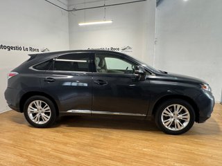 Lexus RX 2010 hibrido etiqueta eco