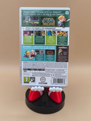 The Legend of Zelda Link's Awakening Switch