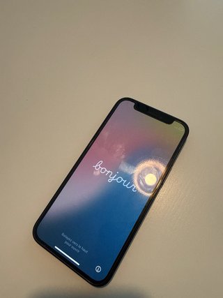 iPhone 12 mini Negro (Funcionando)