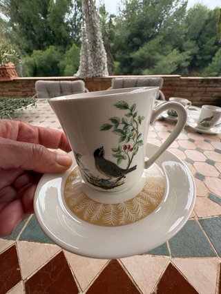 Juego de café de porcelana con pájaros y flores