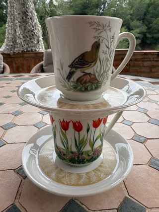 Juego de café de porcelana con pájaros y flores
