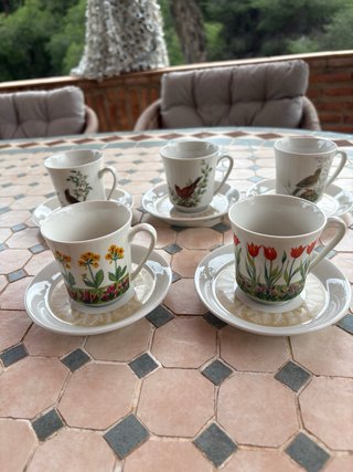 Juego de café de porcelana con pájaros y flores