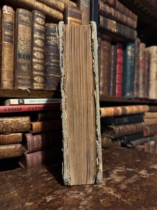 La Casta Susana di Eusebio Planas, XIX secolo
