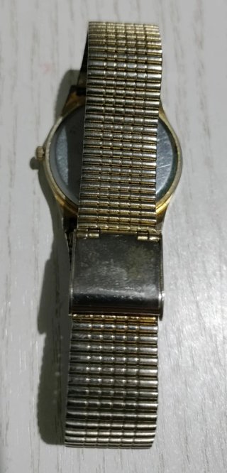 Reloj Christian Gar Cuarzo Dorado y Plateado