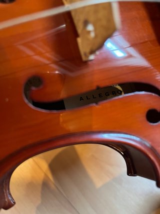 Violín Gewa Allegro con estuche y arco 3/4