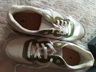 Tenis Springfield beige y Verde