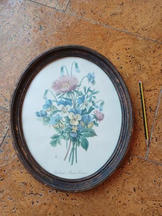 Lámina floral ovalada