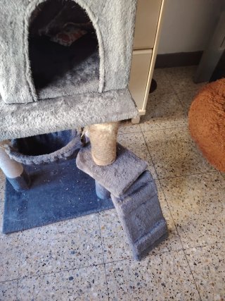Torre para gatos de varios niveles
