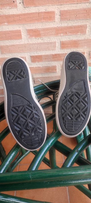 Zapatillas Converse plataforma serpiente Ed.Limit