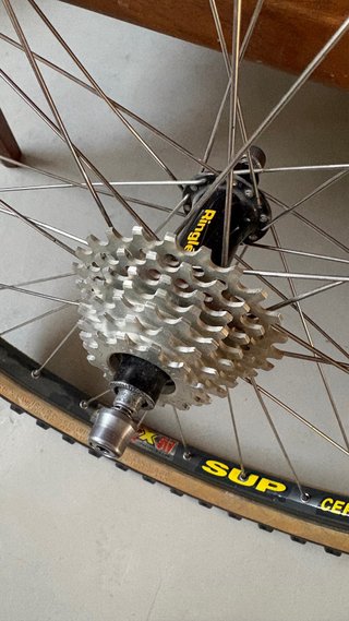 Juego Ruedas Ringle + Mavic Ceramic + freewheel 8v