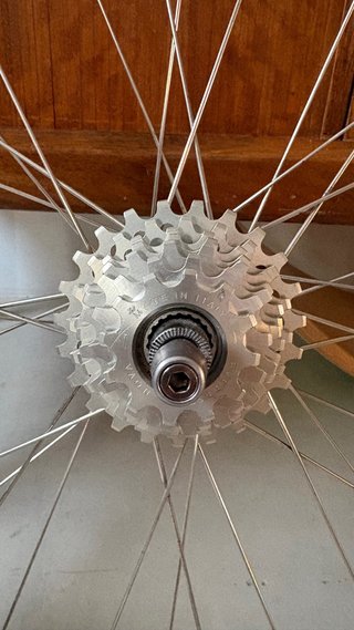 Juego Ruedas Ringle + Mavic Ceramic + freewheel 8v