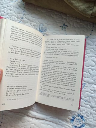 Novela El amante de la china del norte