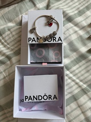 Pulsera Pandora con 6 Charms