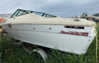 Barco con remolque