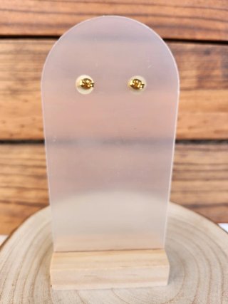 Pendientes de Acero y Nácar