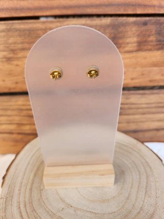 Pendientes Ámbar y Acero