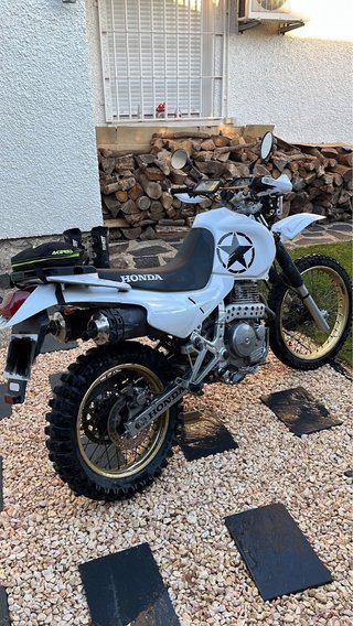Honda Dominator