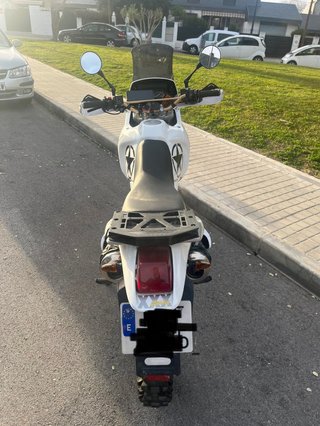 Honda Dominator